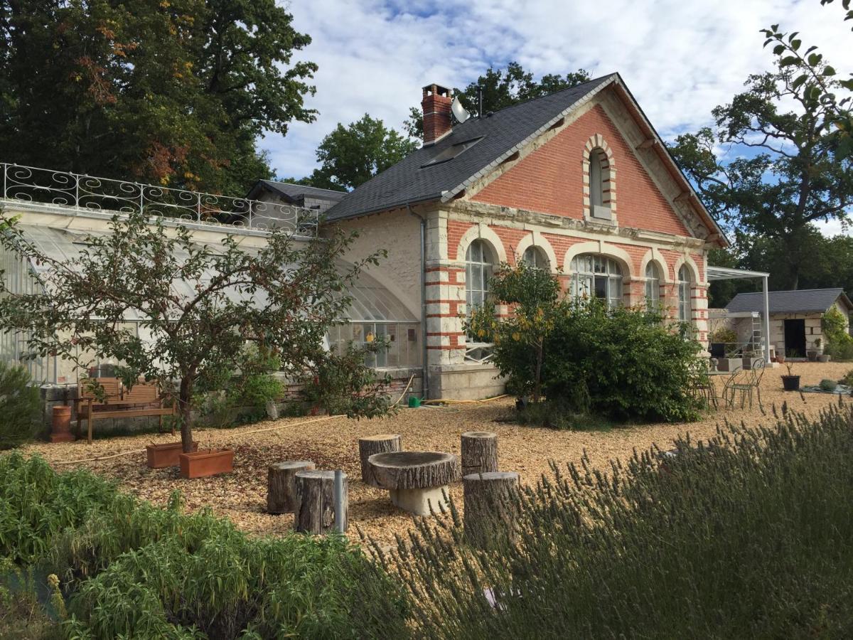 Вилла L'Orangerie "The Orangery" Du Parc Des Nouies Сель-сюр-Шер Экстерьер фото